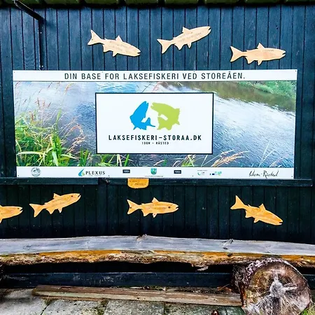 Plexus Hytterne לינה וארוחת בוקר